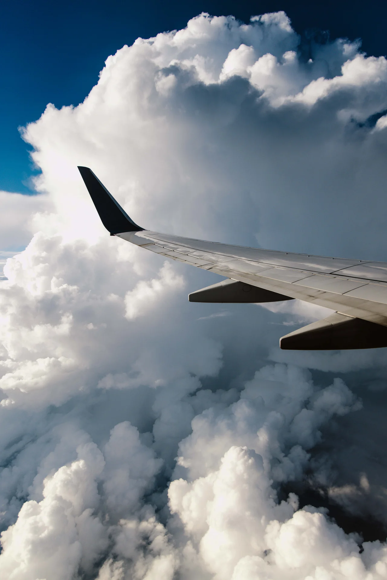 From Above - photo 3 of 79