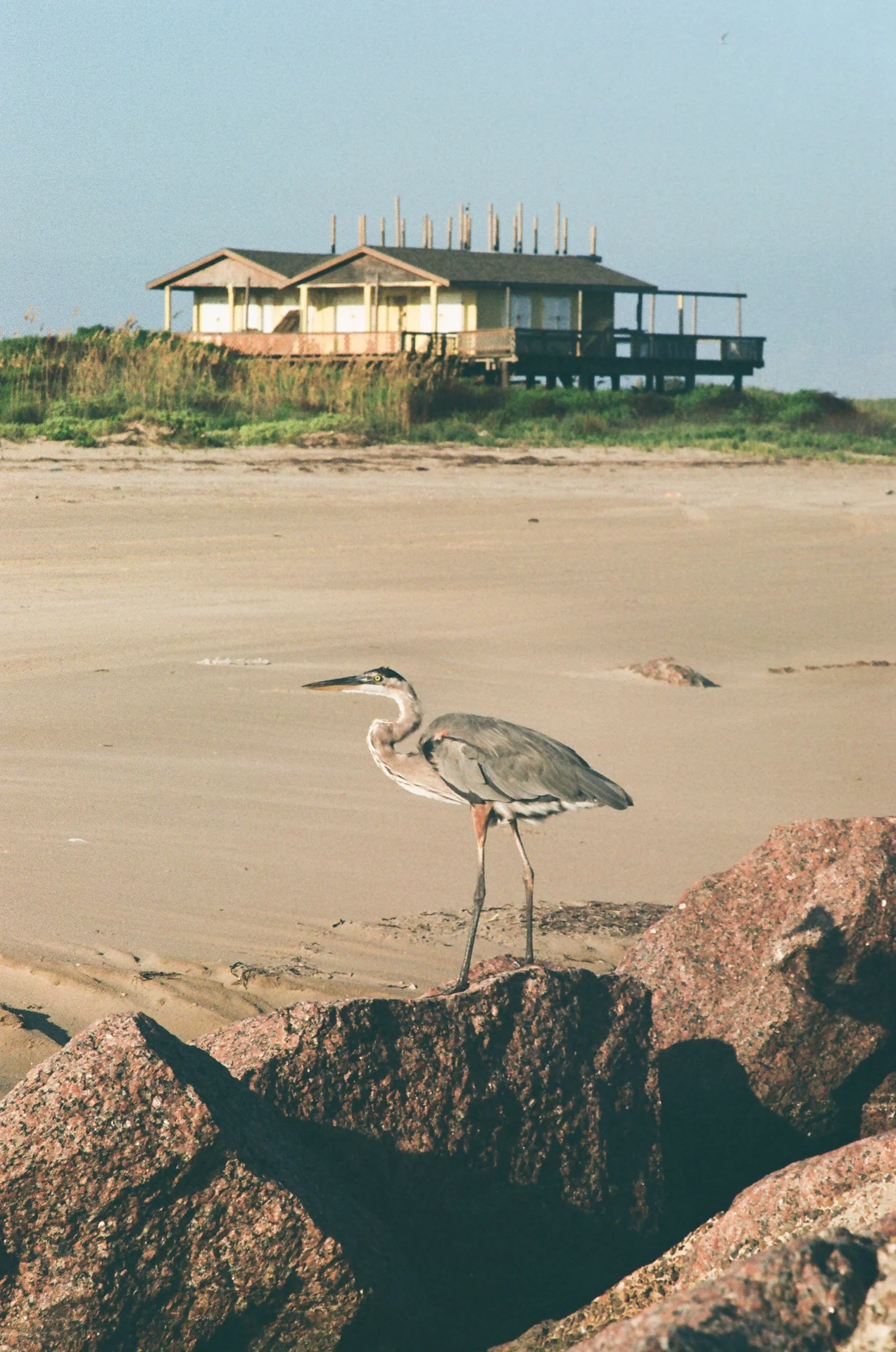 STARBASE FILM - photo 118 of 156