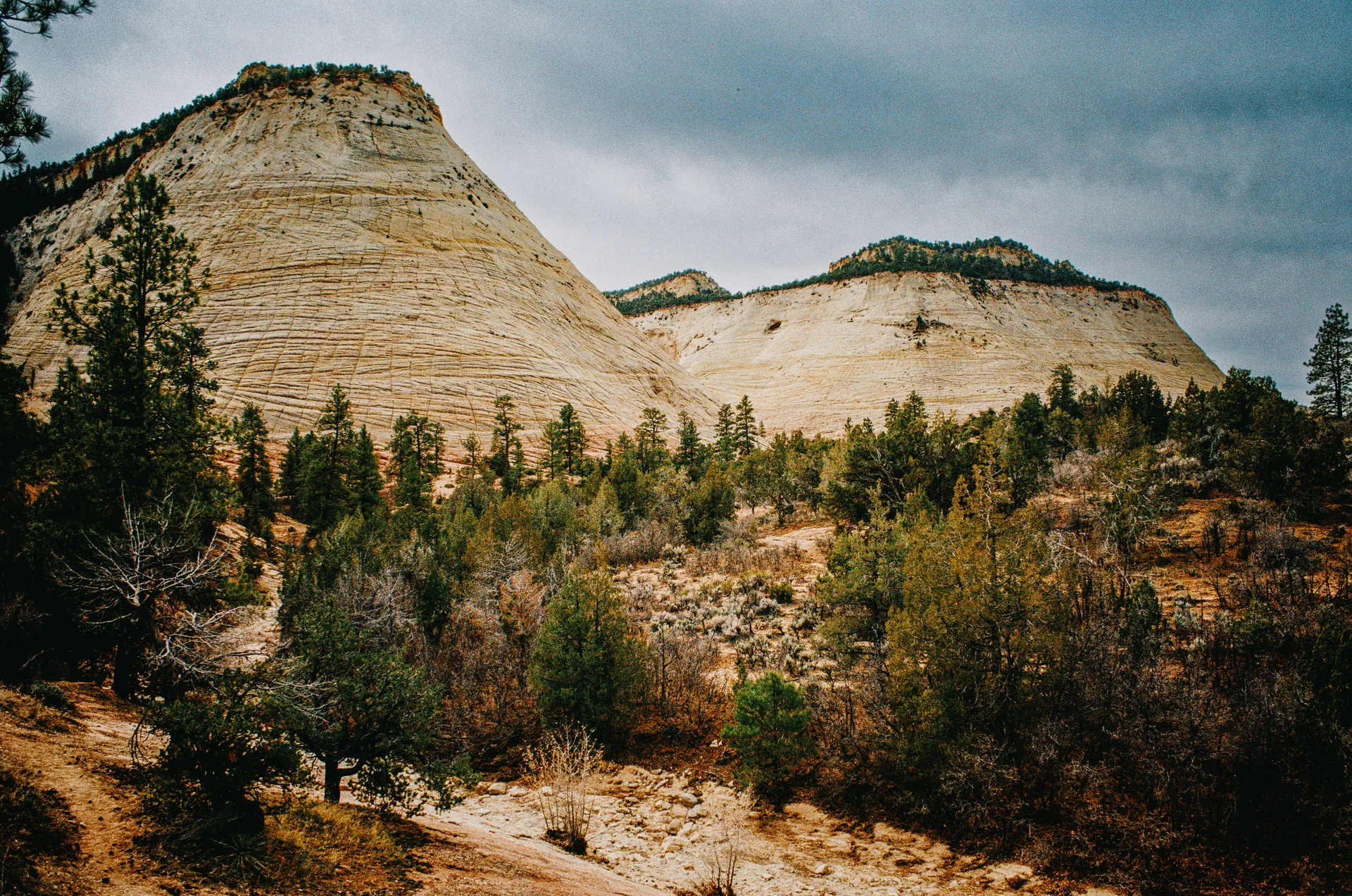 American Landscapes - photo 12 of 63