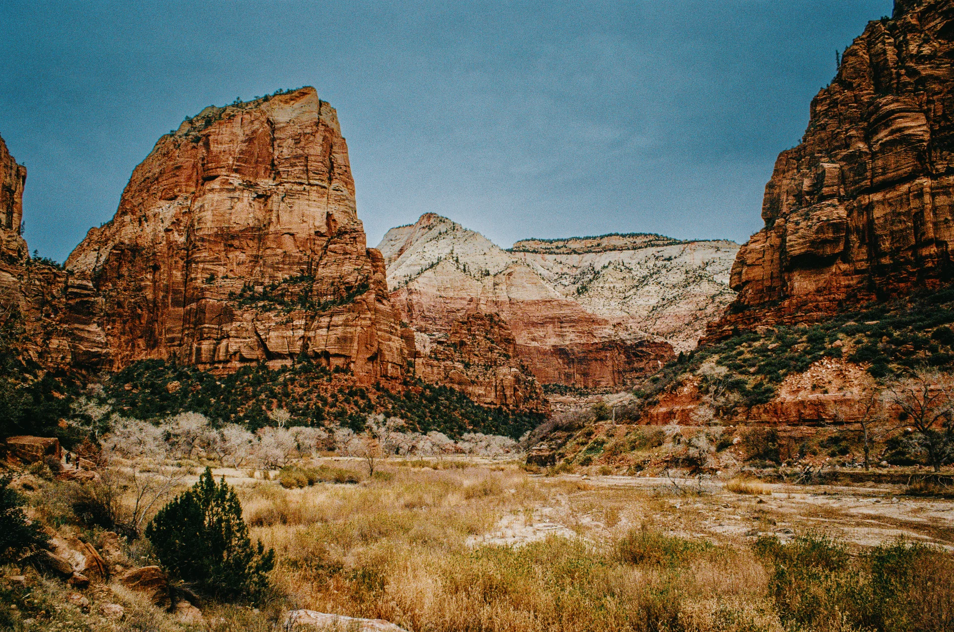 American Landscapes - photo 14 of 63