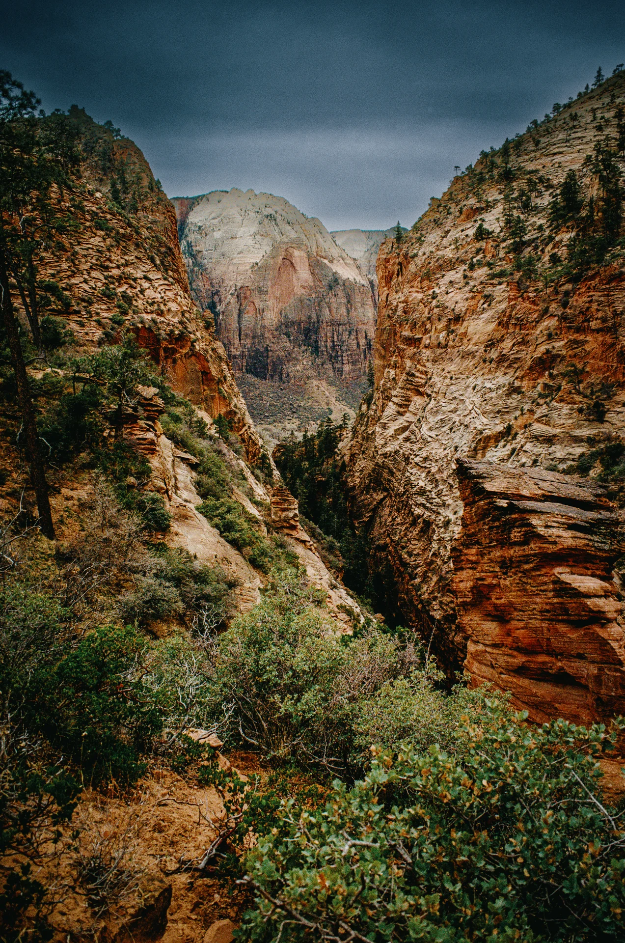 American Landscapes - photo 15 of 63