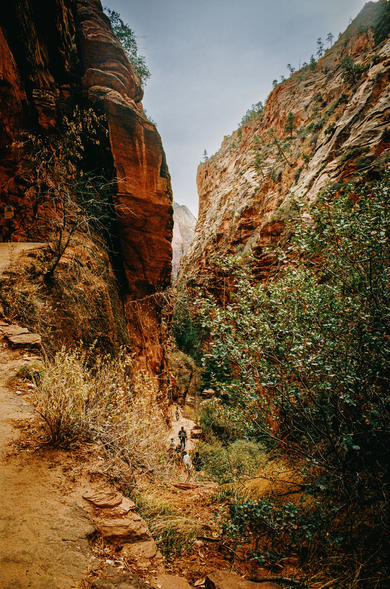 American Landscapes - photo 18 of 63