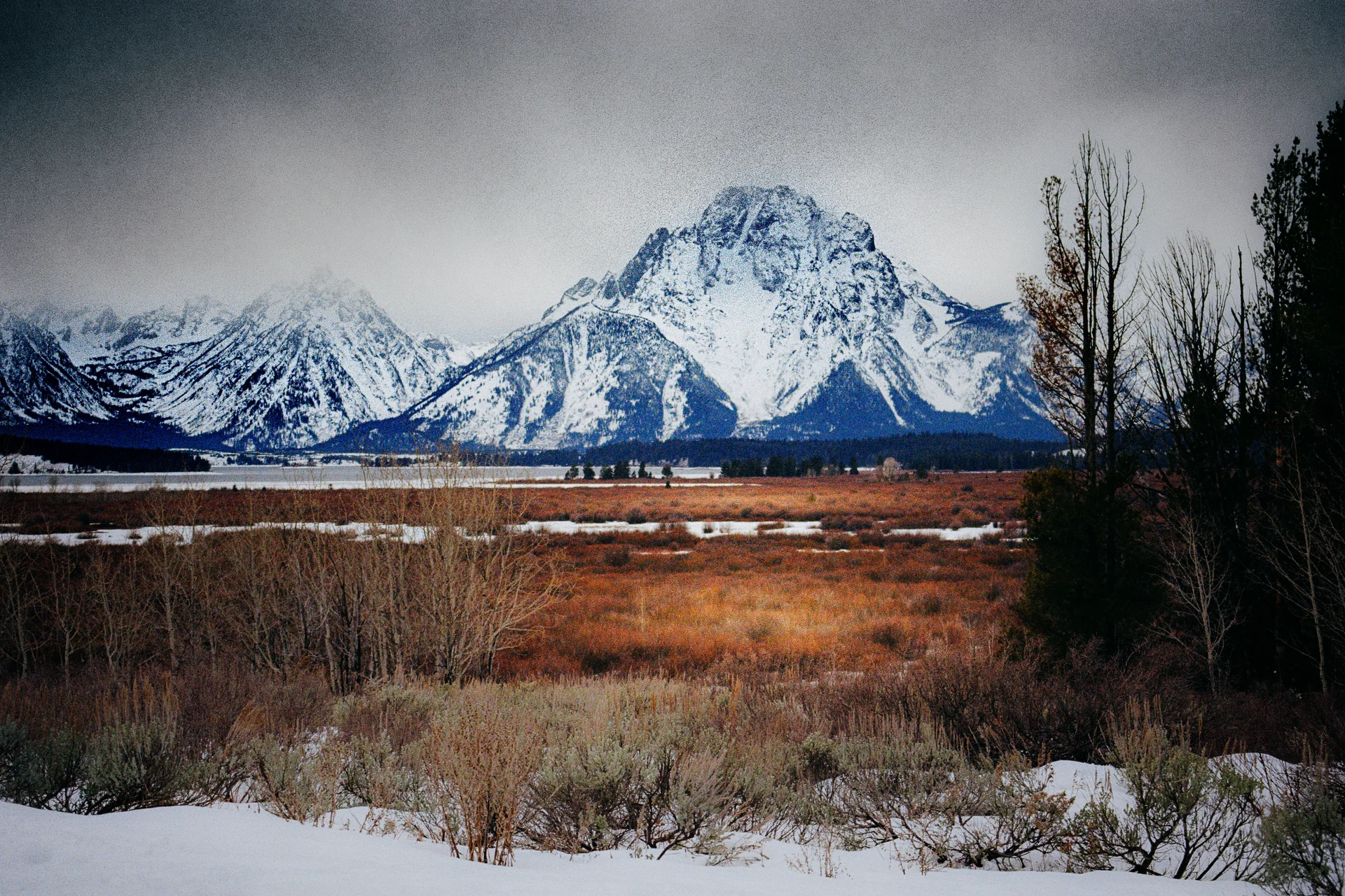 American Landscapes - photo 24 of 63