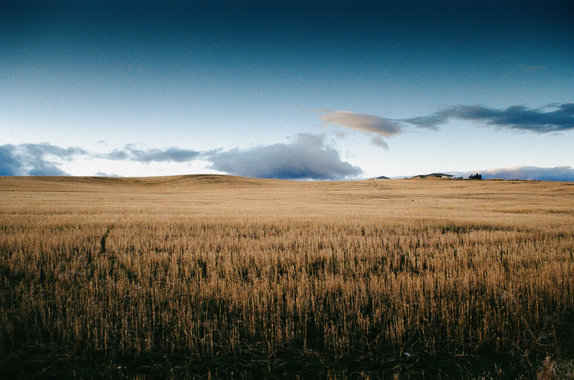 American Landscapes - photo 26 of 63