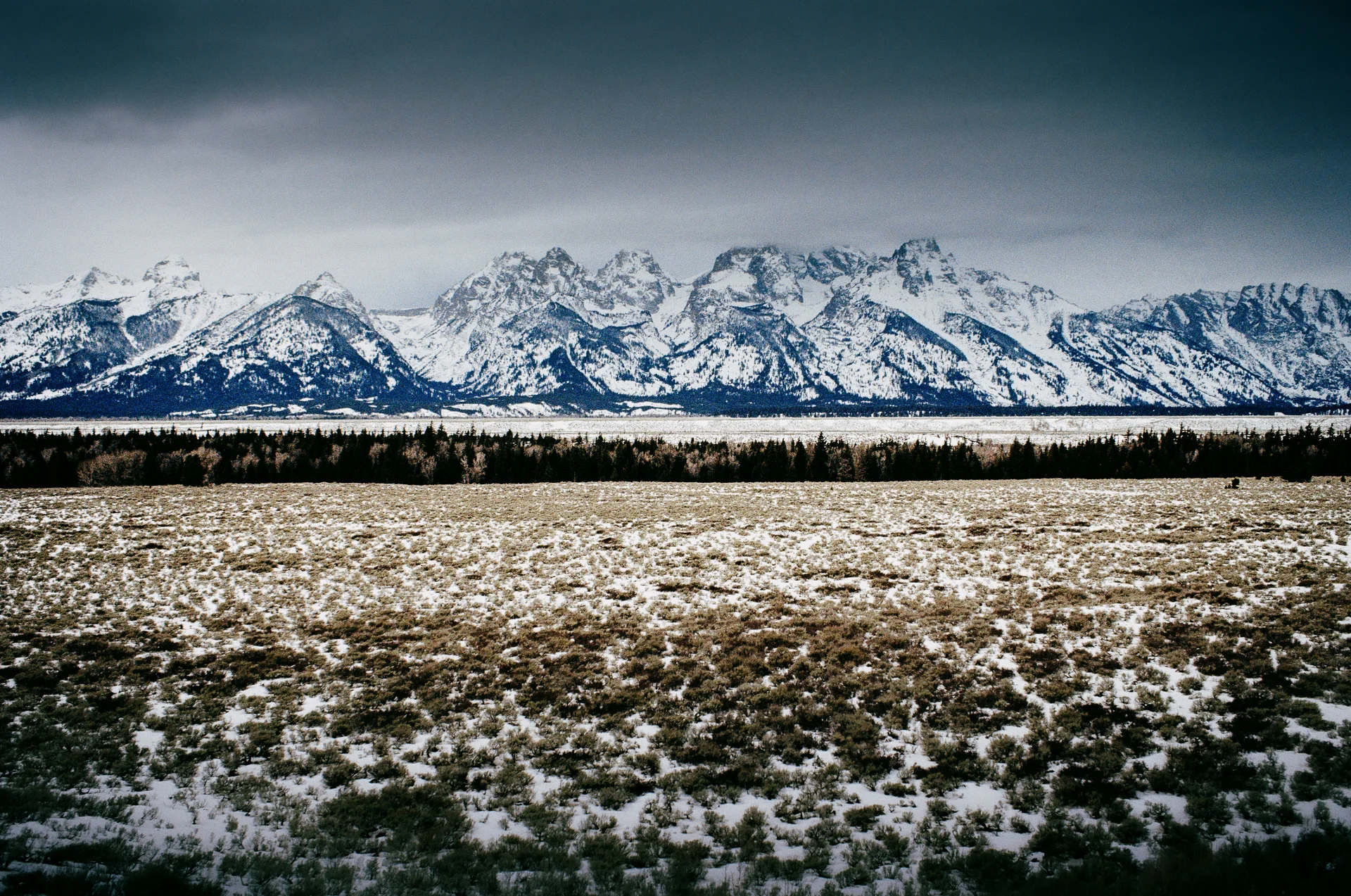 American Landscapes - photo 29 of 63