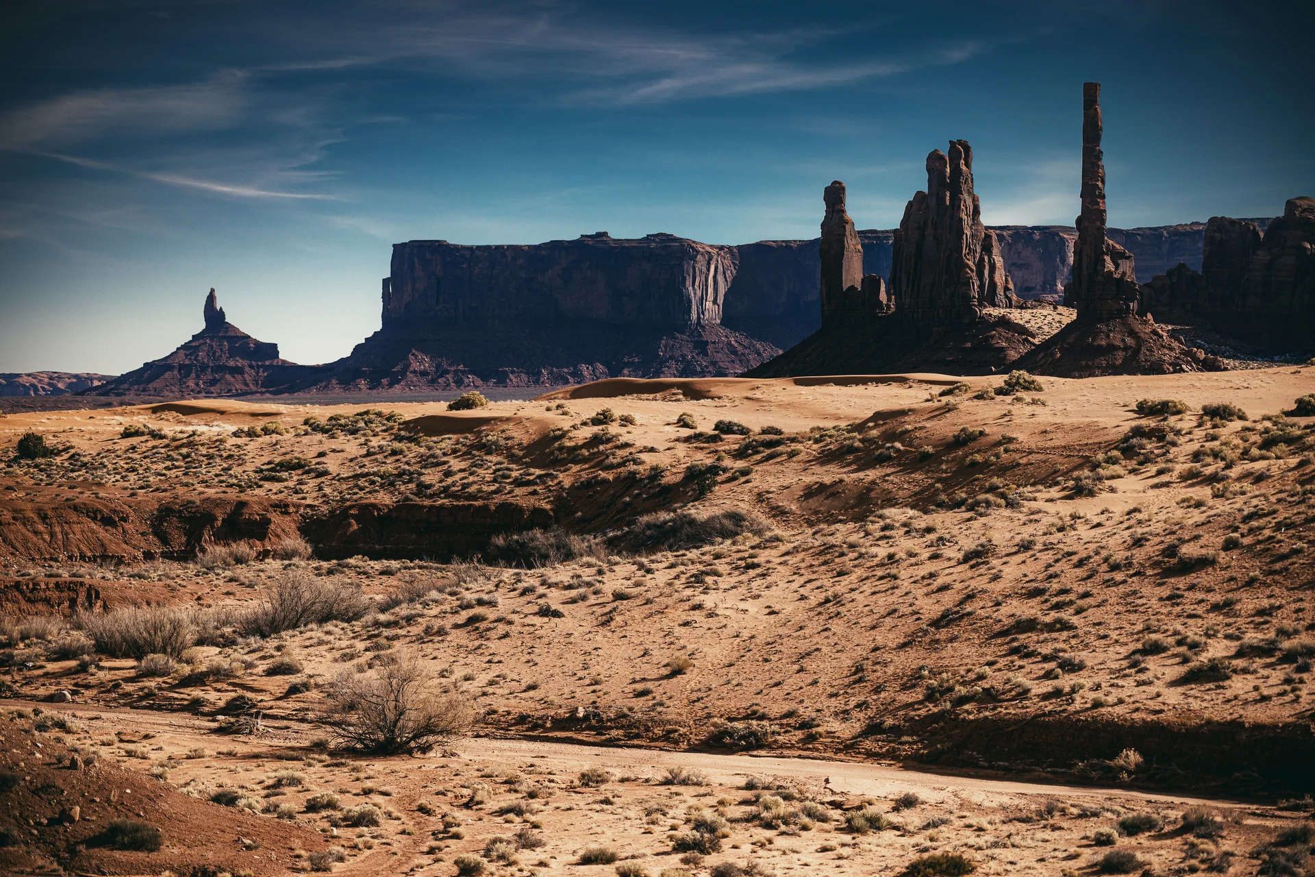 American Landscapes - photo 43 of 63