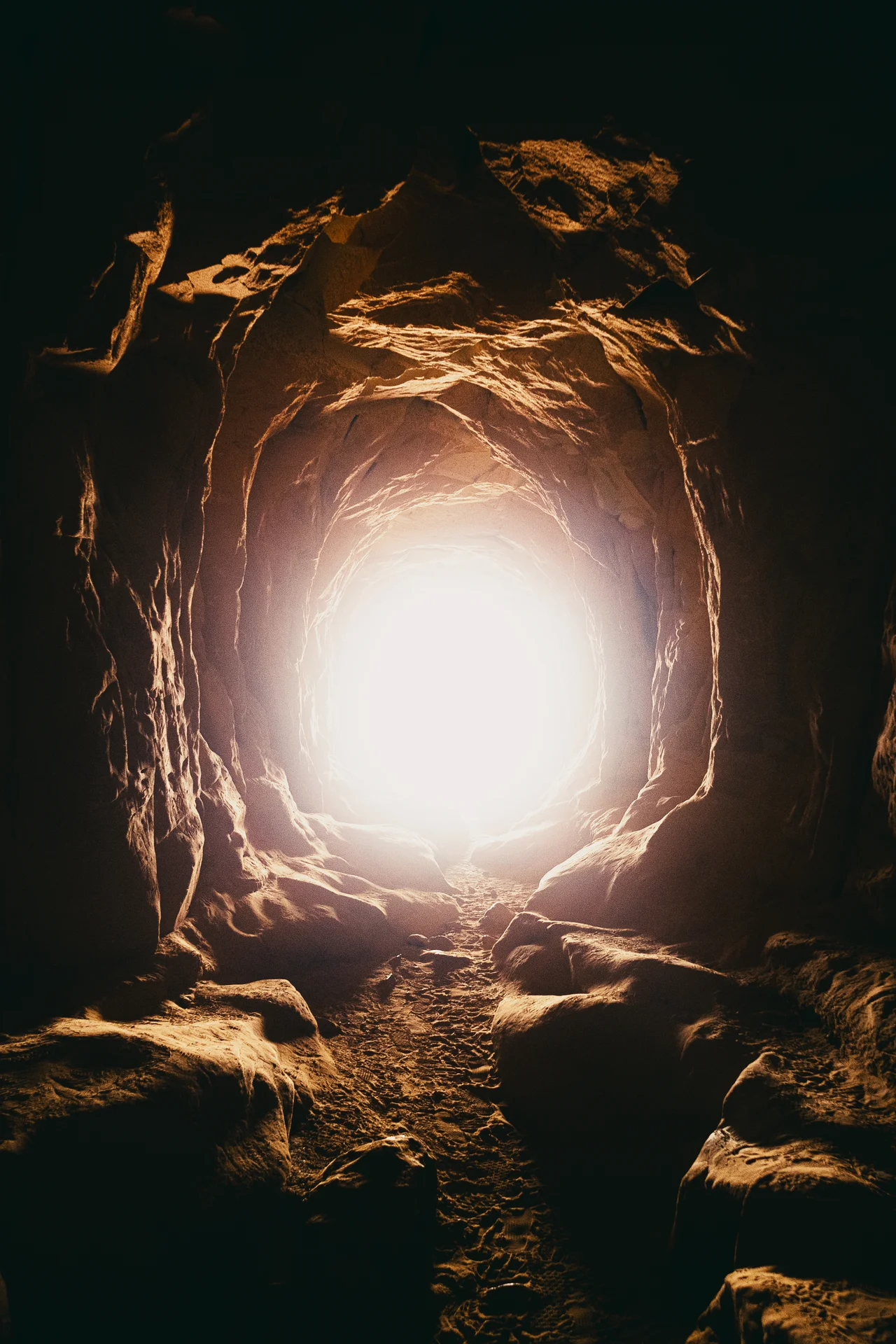 American Landscapes - photo 45 of 63