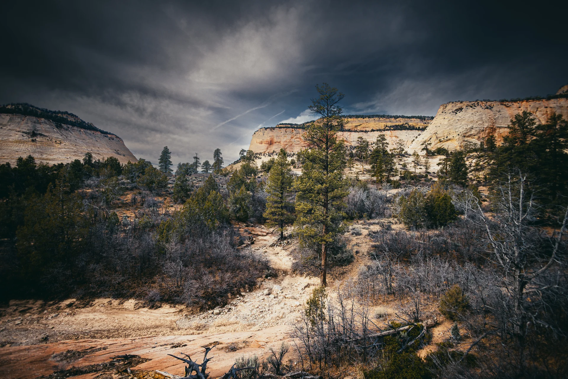 American Landscapes - photo 46 of 63