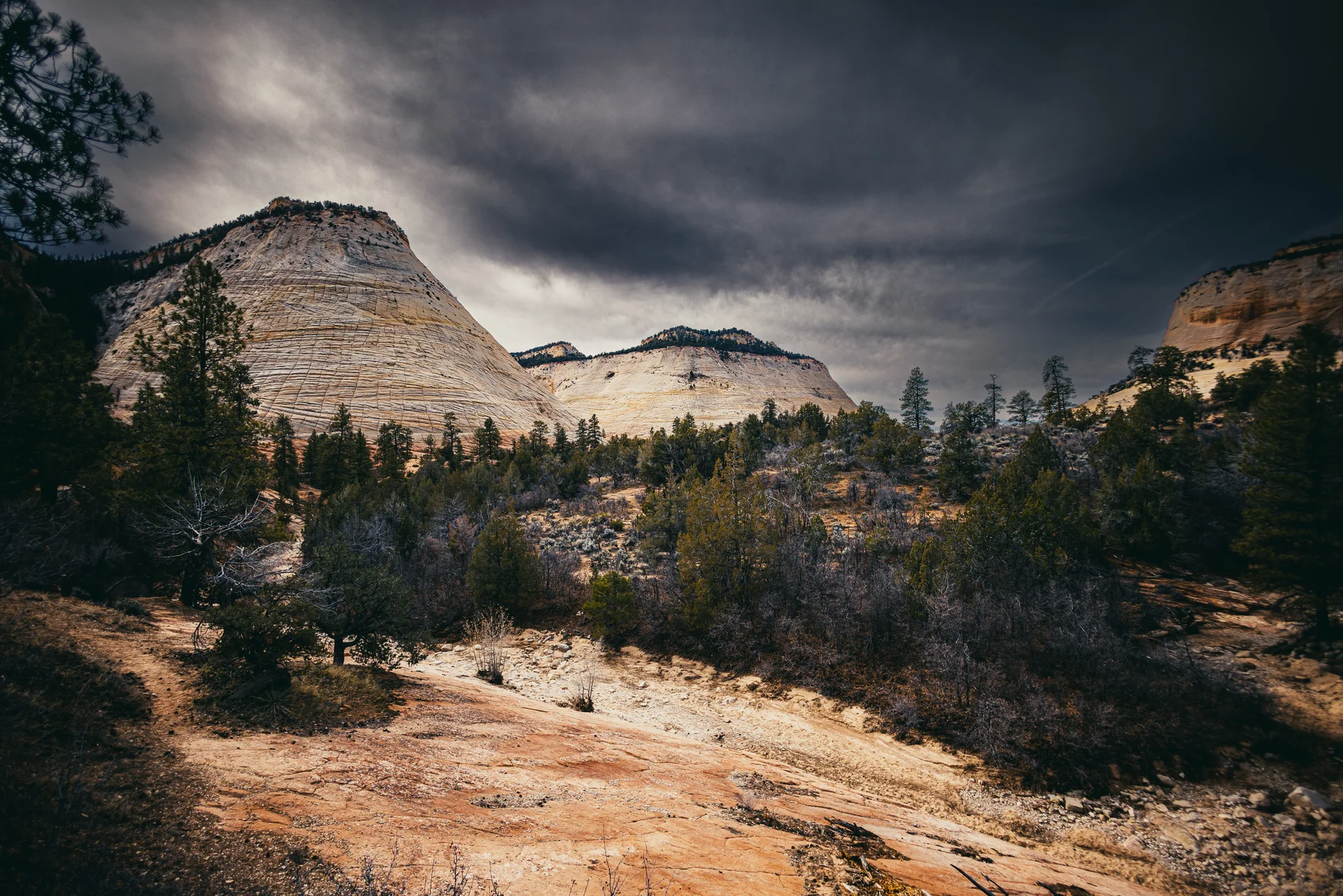 American Landscapes - photo 47 of 63