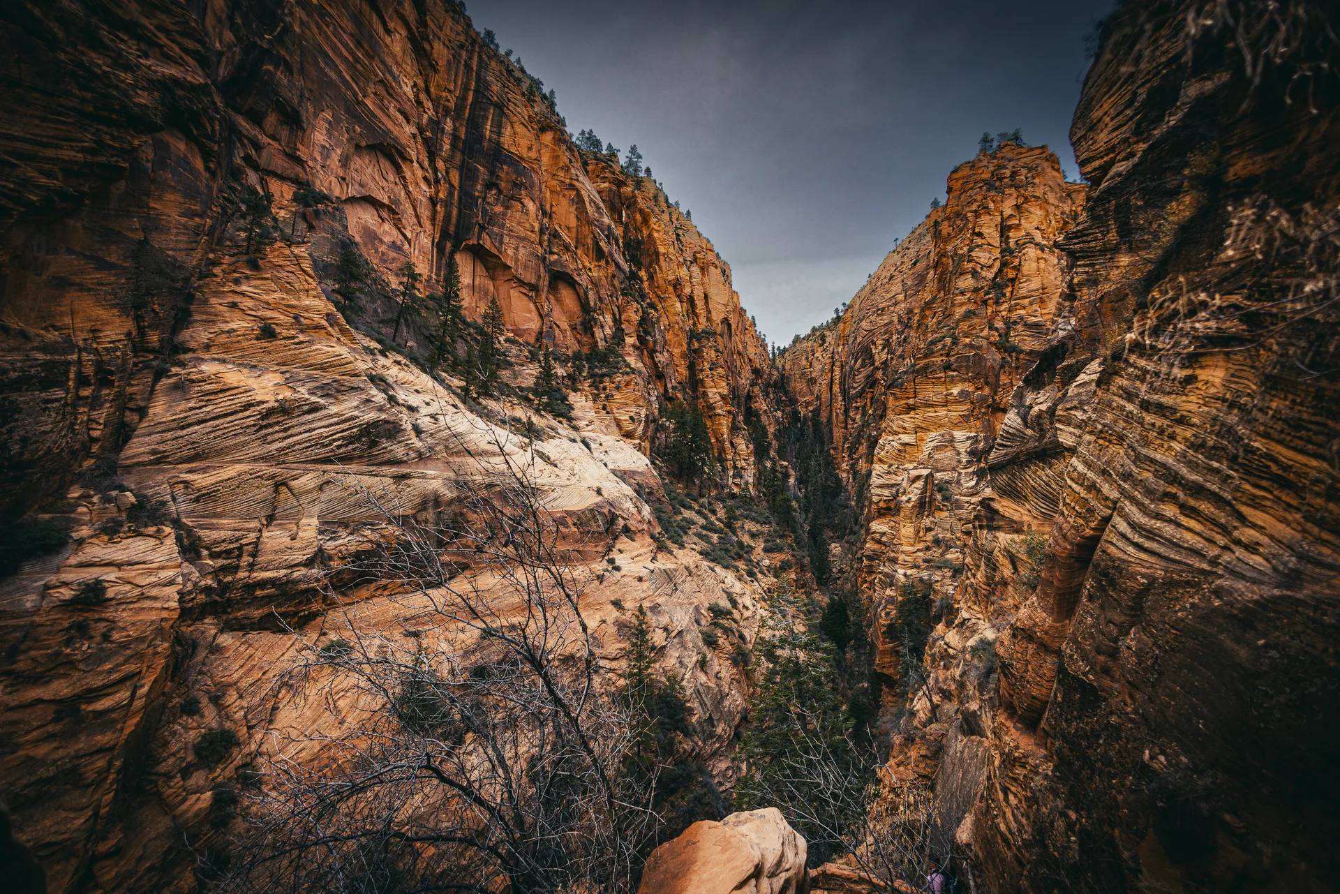 American Landscapes - photo 50 of 63