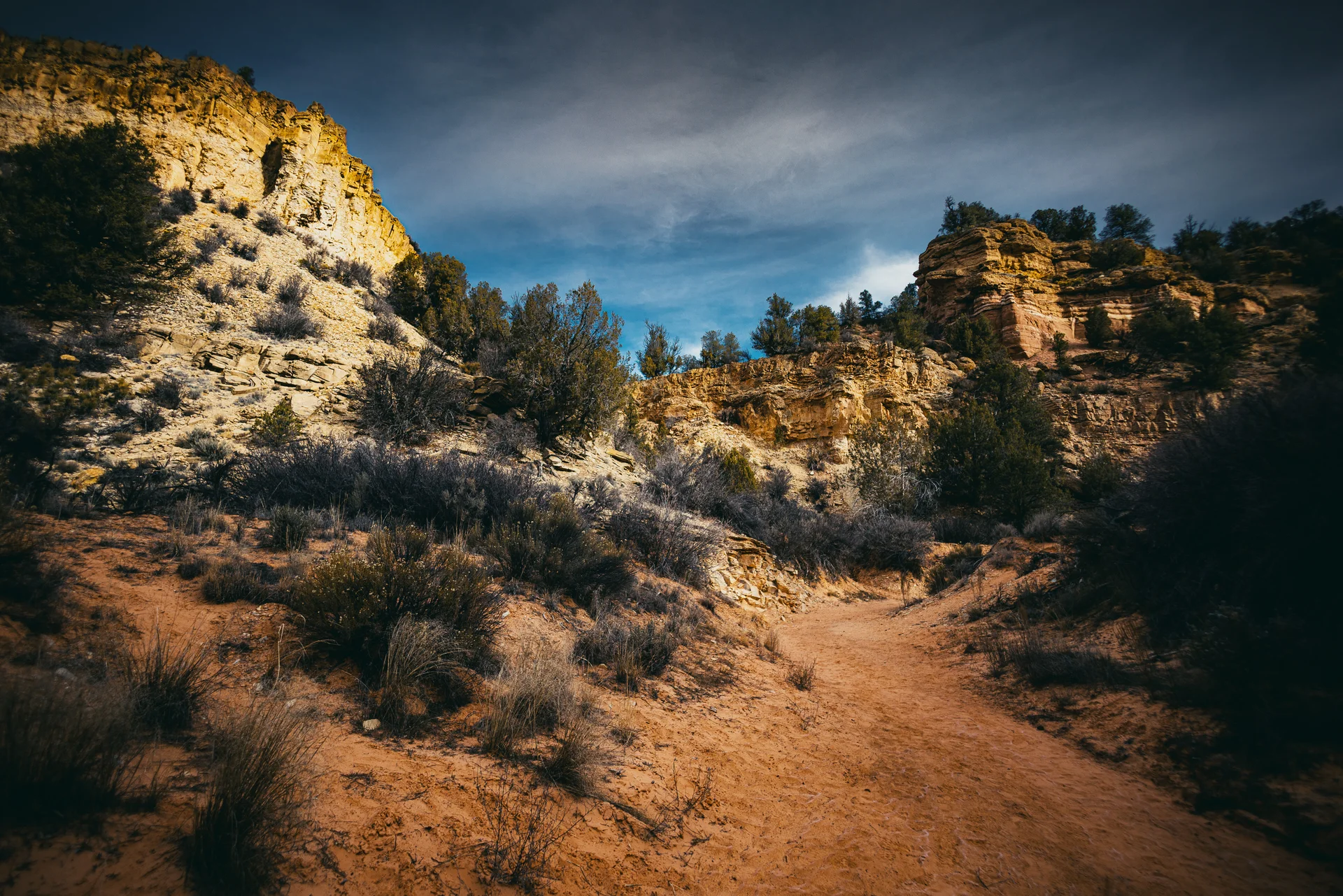 American Landscapes - photo 52 of 63