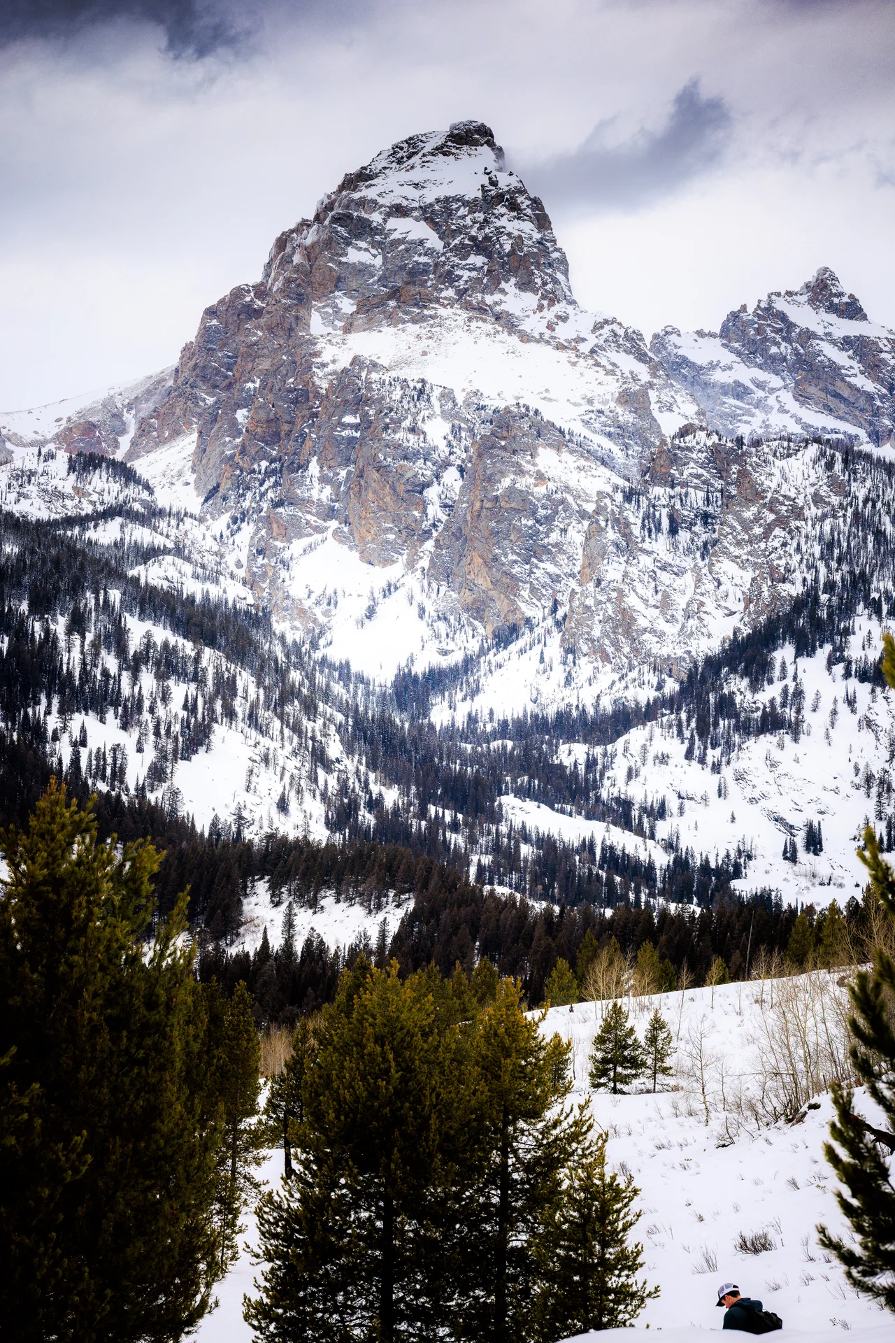 American Landscapes - photo 55 of 63