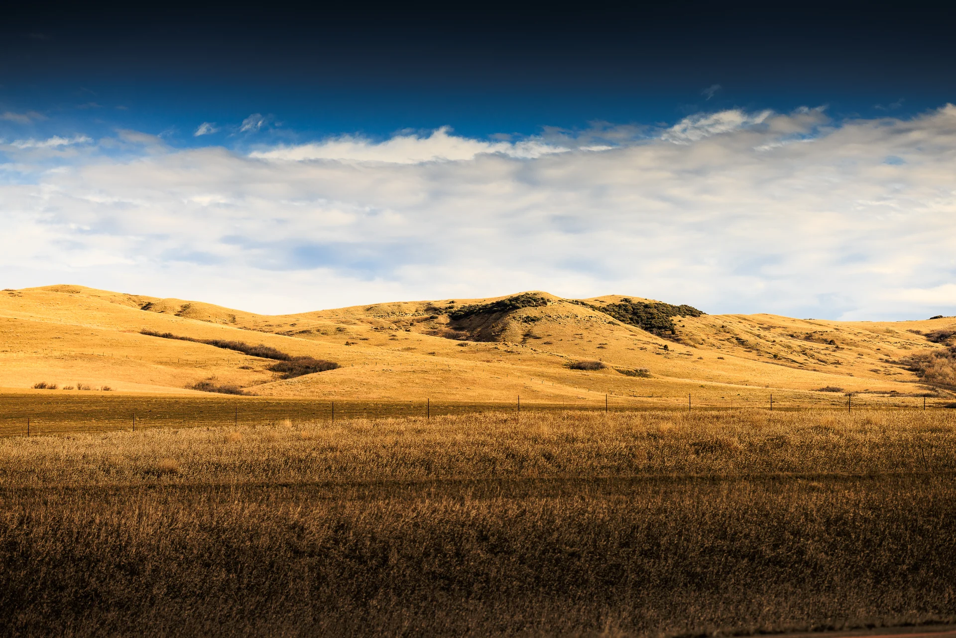 American Landscapes - photo 62 of 63