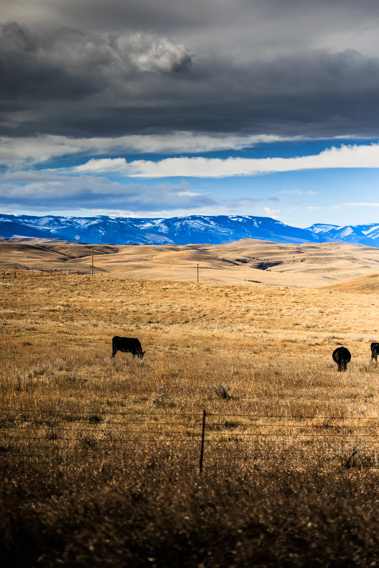 American Landscapes - photo 63 of 63