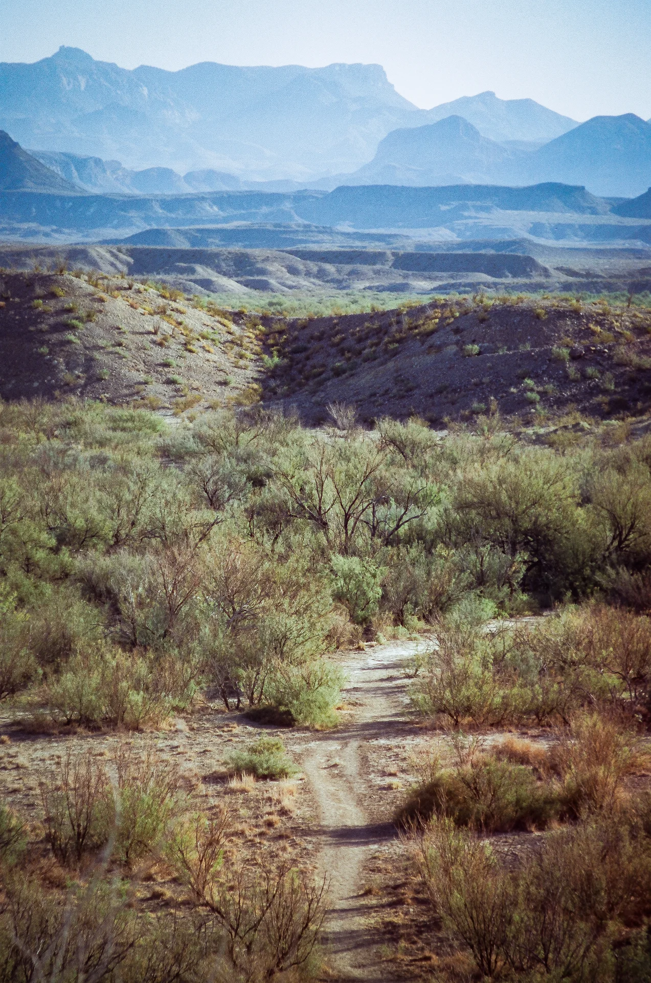 Big Bend Film - photo 20 of 68