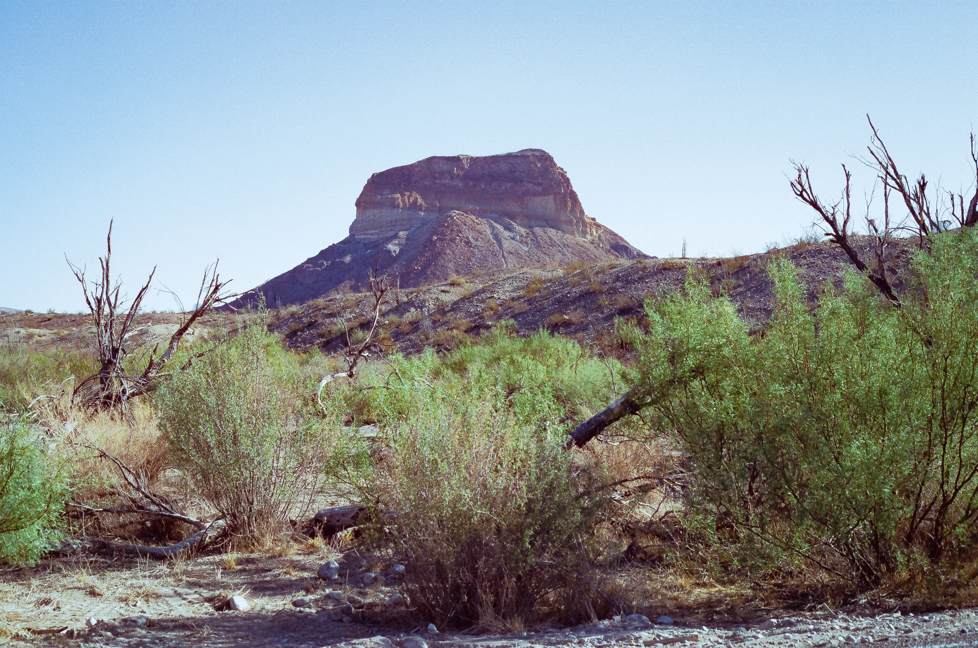 Big Bend Film - photo 26 of 68