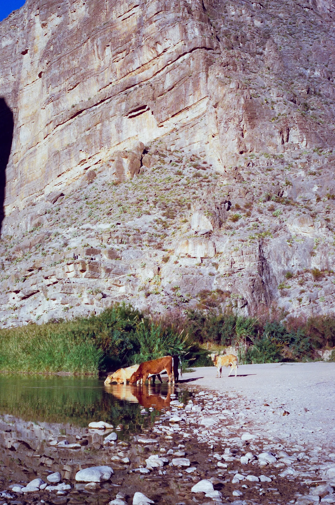 Big Bend Film - photo 35 of 68