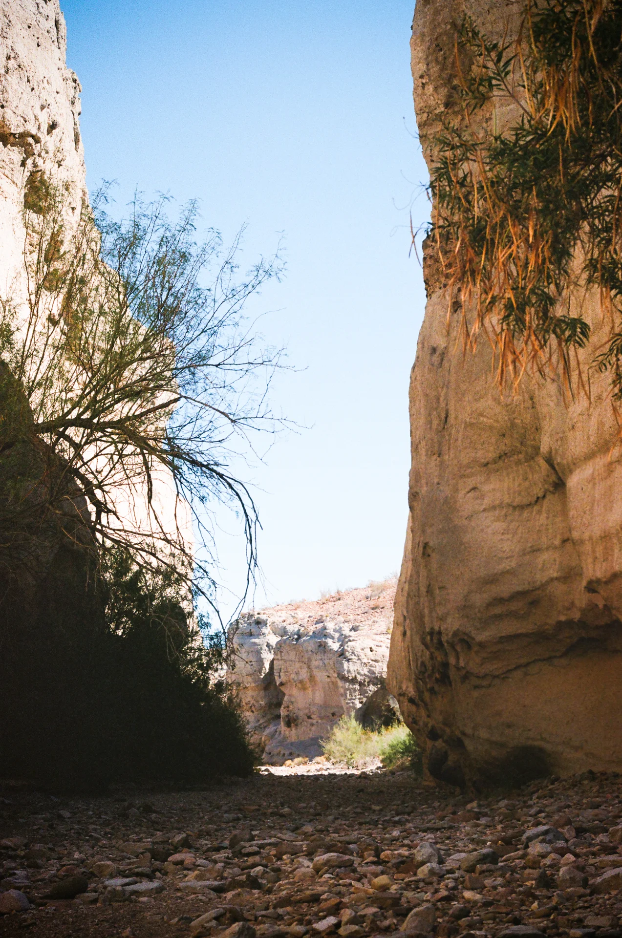 Big Bend Film - photo 39 of 68