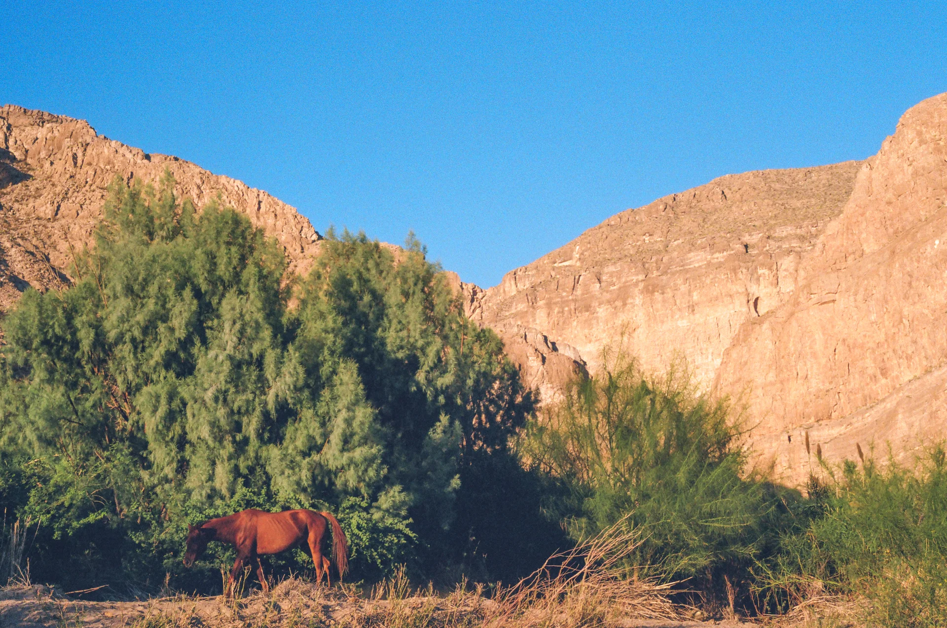 Big Bend Film - photo 46 of 68