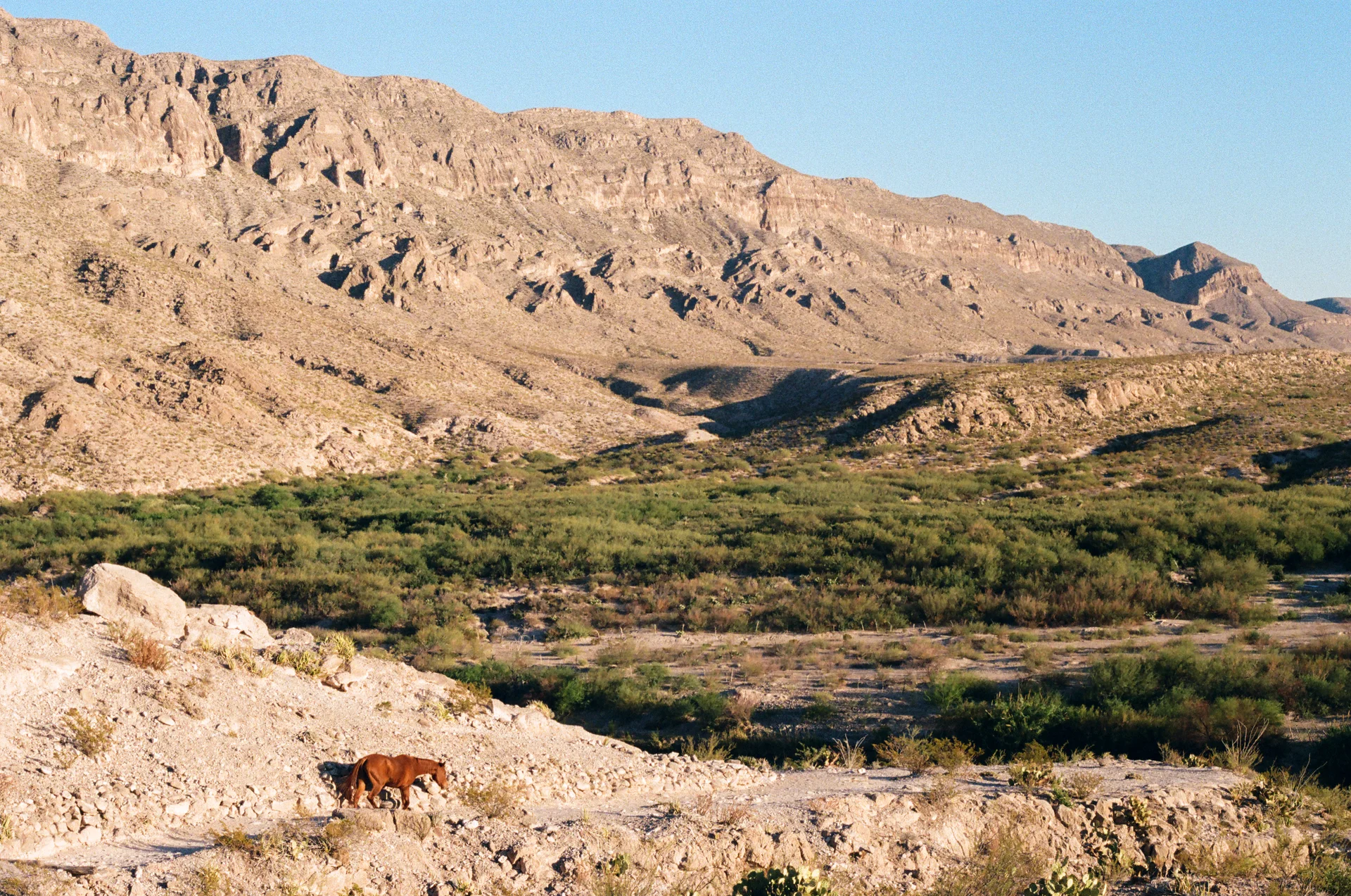Big Bend Film - photo 53 of 68