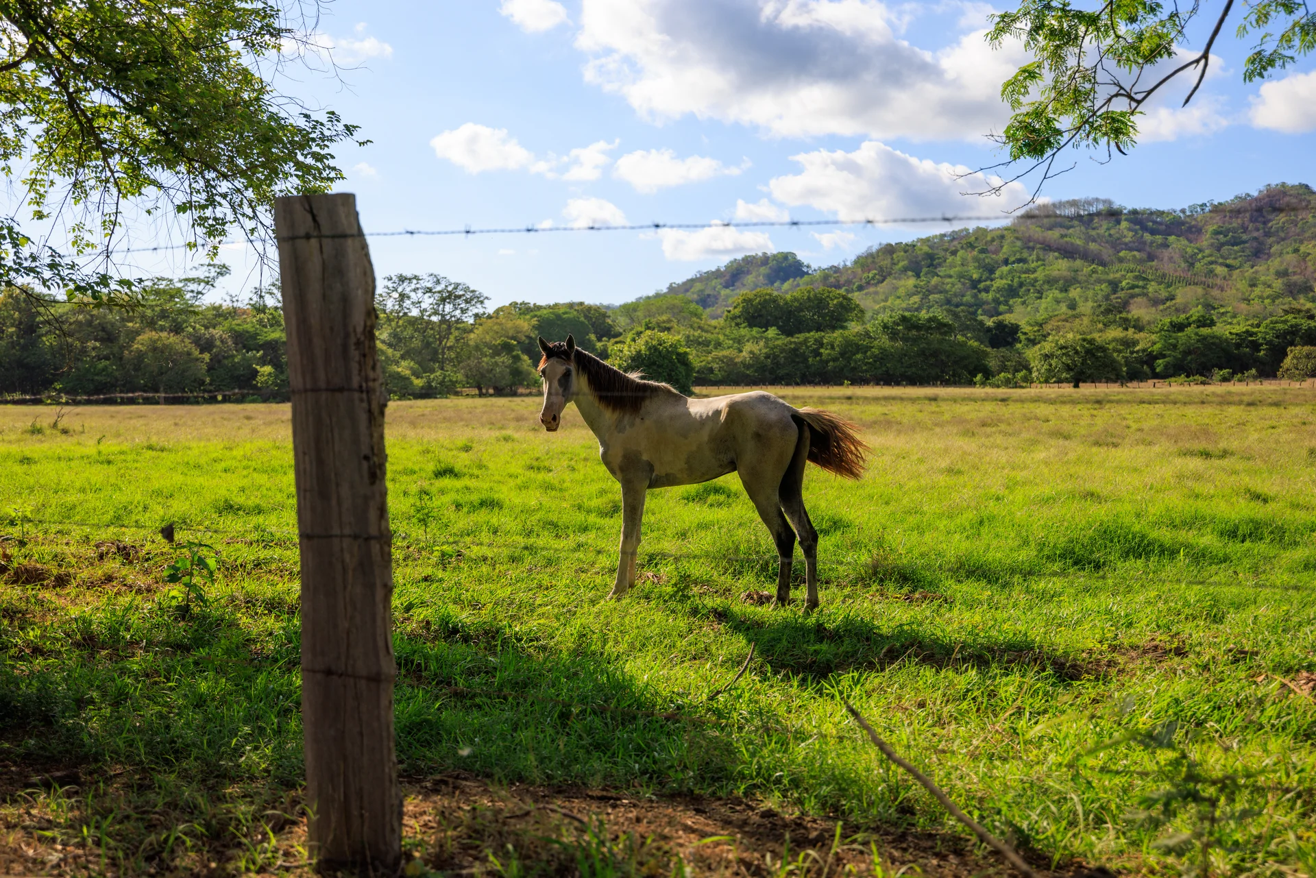 Costa Rica - photo 2 of 13