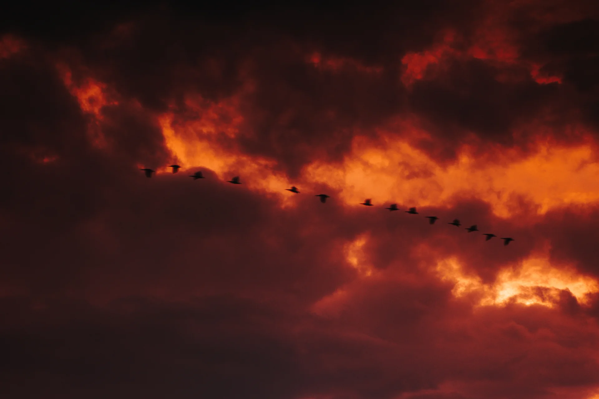 Hudson Valley - photo 5 of 20