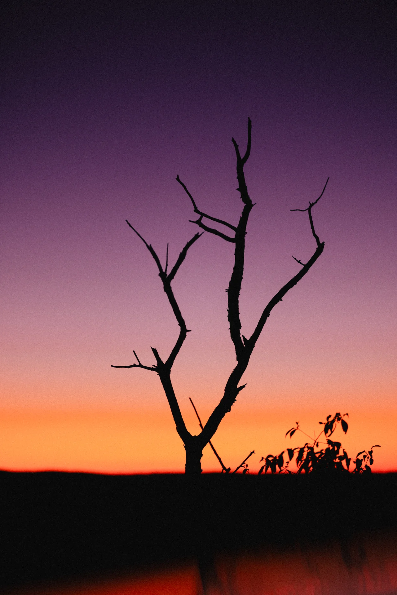 Hudson Valley - photo 8 of 20