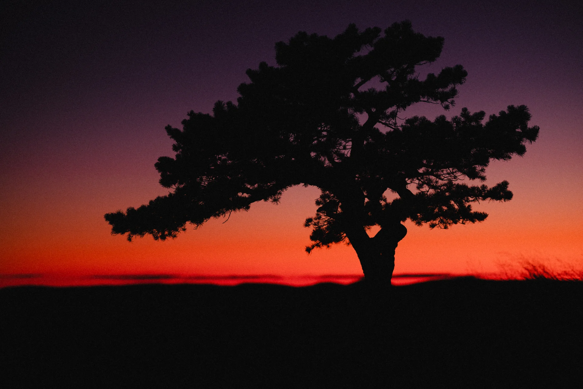 Hudson Valley - photo 9 of 20