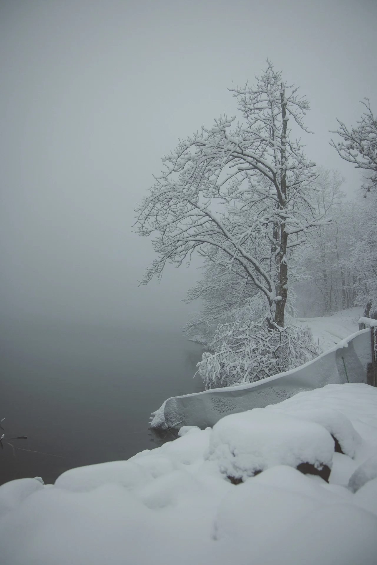 Hudson Valley - photo 10 of 20