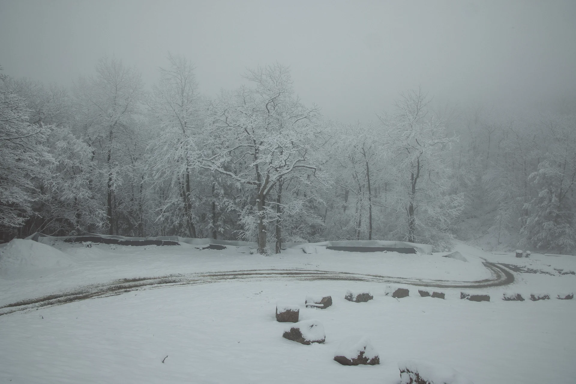 Hudson Valley - photo 12 of 20