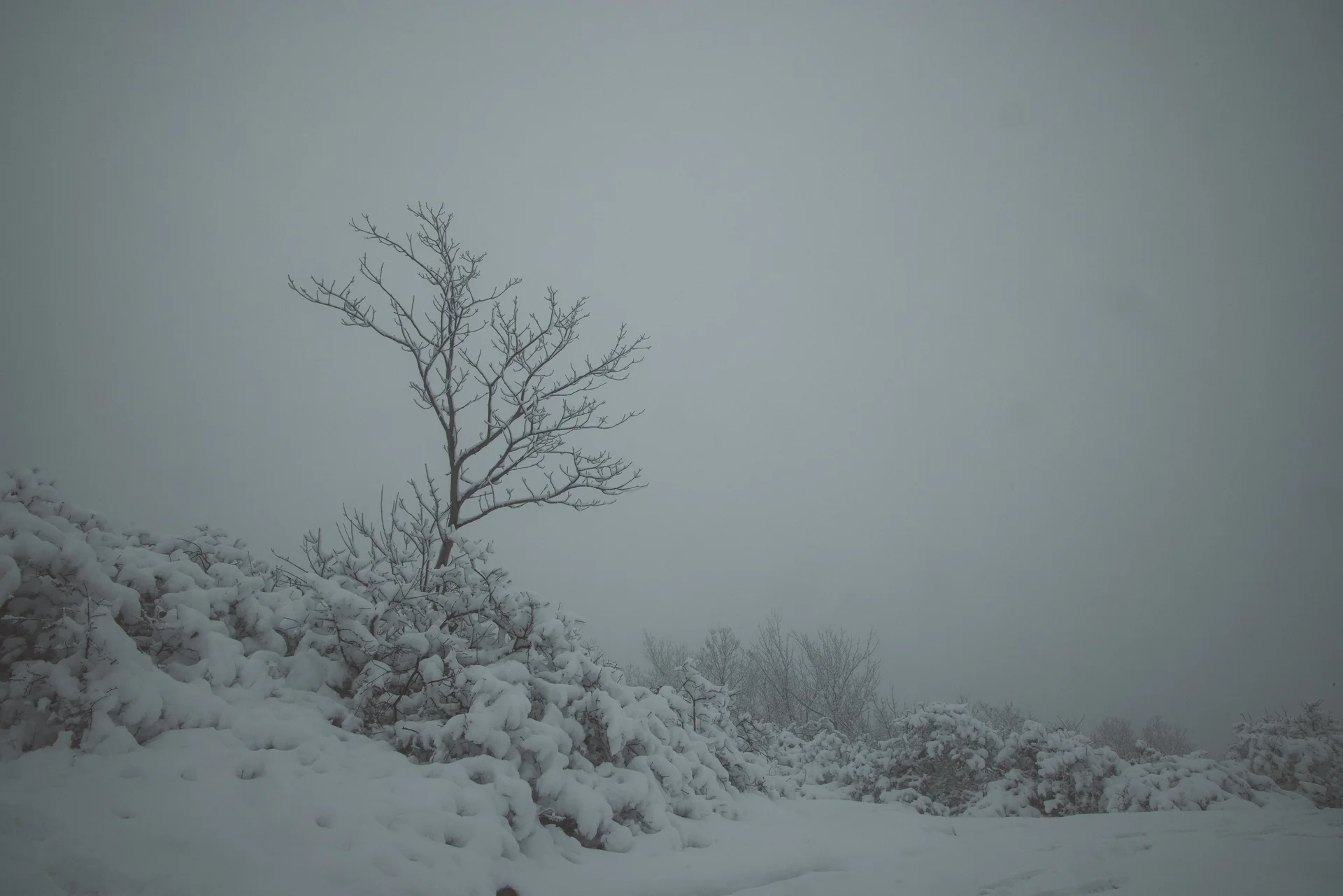 Hudson Valley - photo 18 of 20