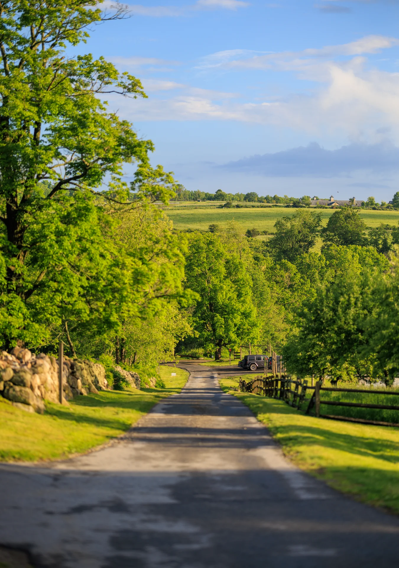 Lauren & Elphin wedding - photo 2 of 63