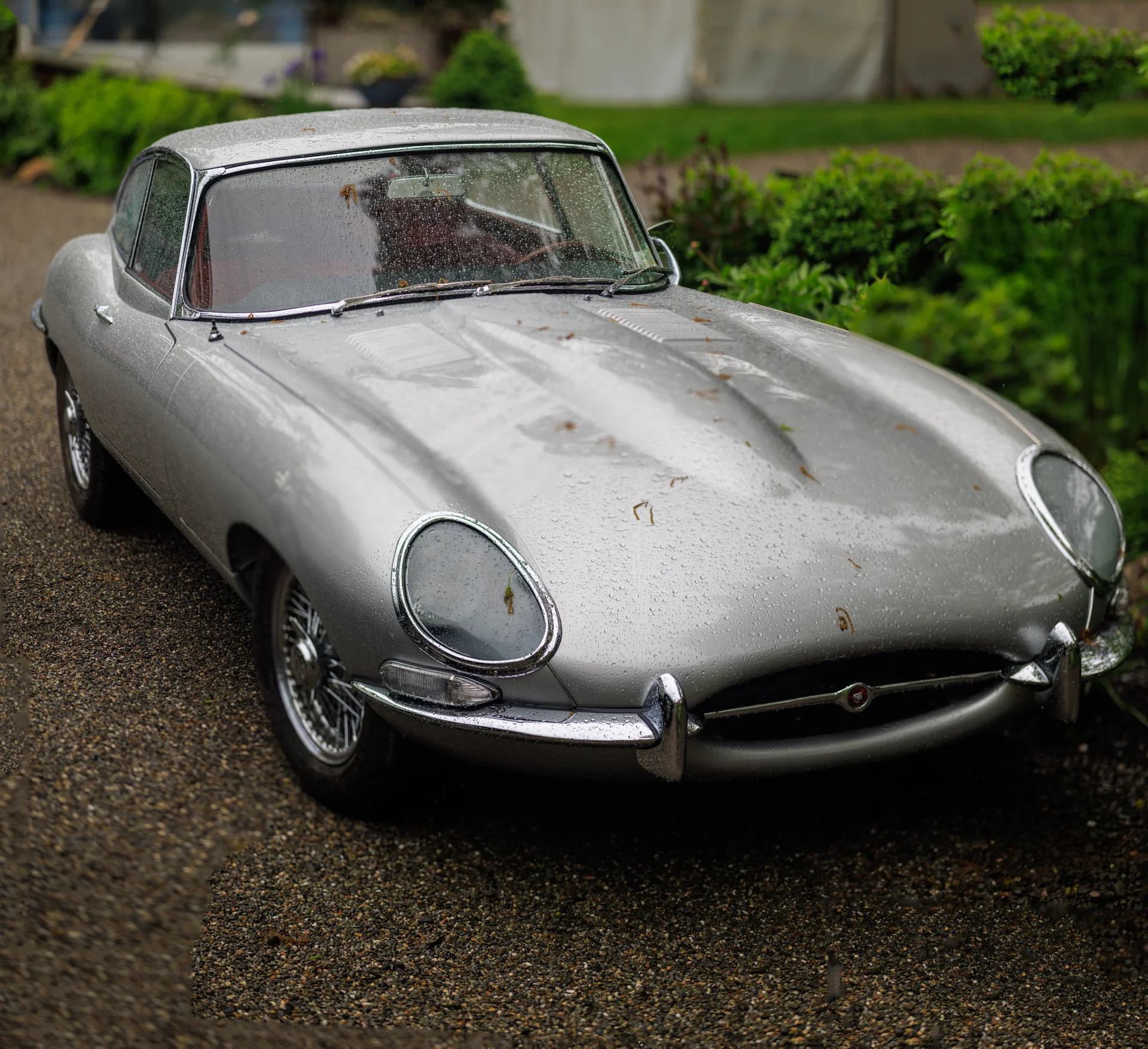 Lauren & Elphin wedding - photo 3 of 63