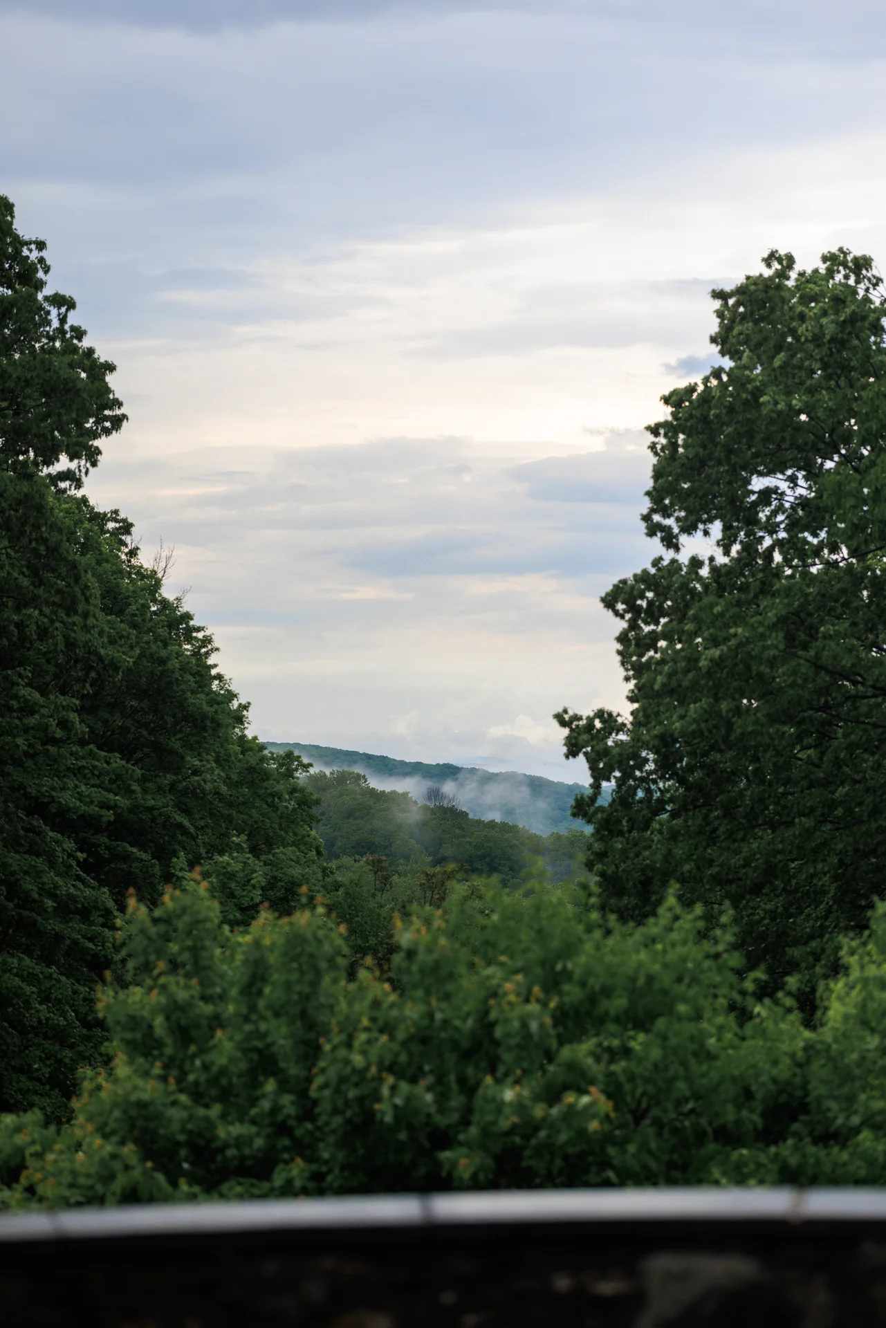 Lauren & Elphin wedding - photo 13 of 63