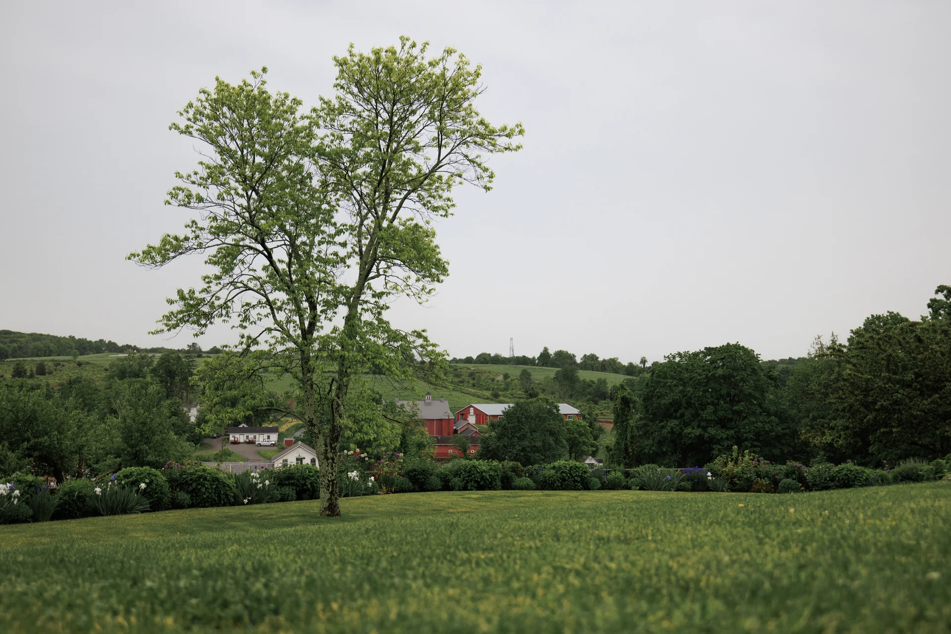 Lauren & Elphin wedding - photo 45 of 63