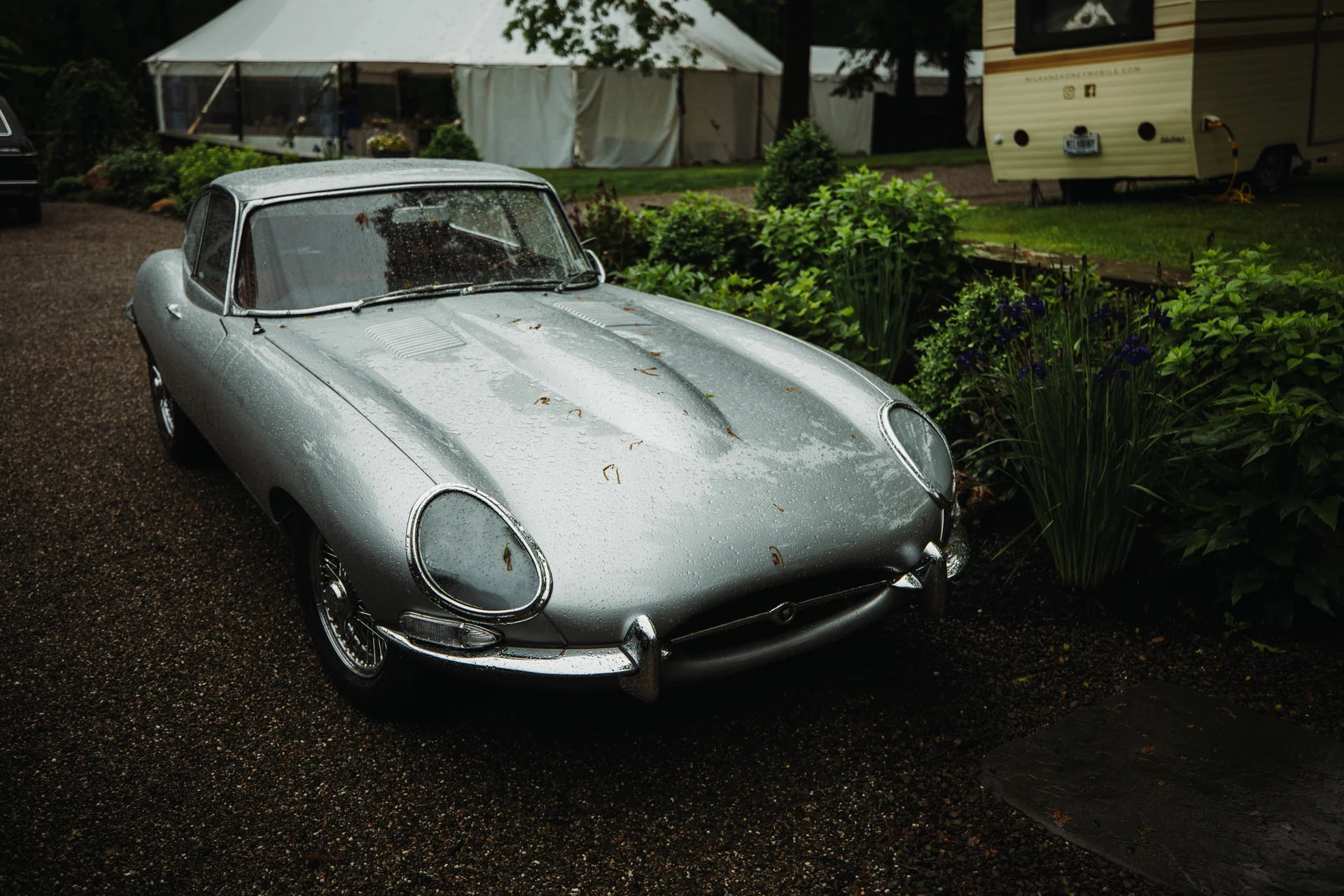 Lauren & Elphin wedding - photo 46 of 63