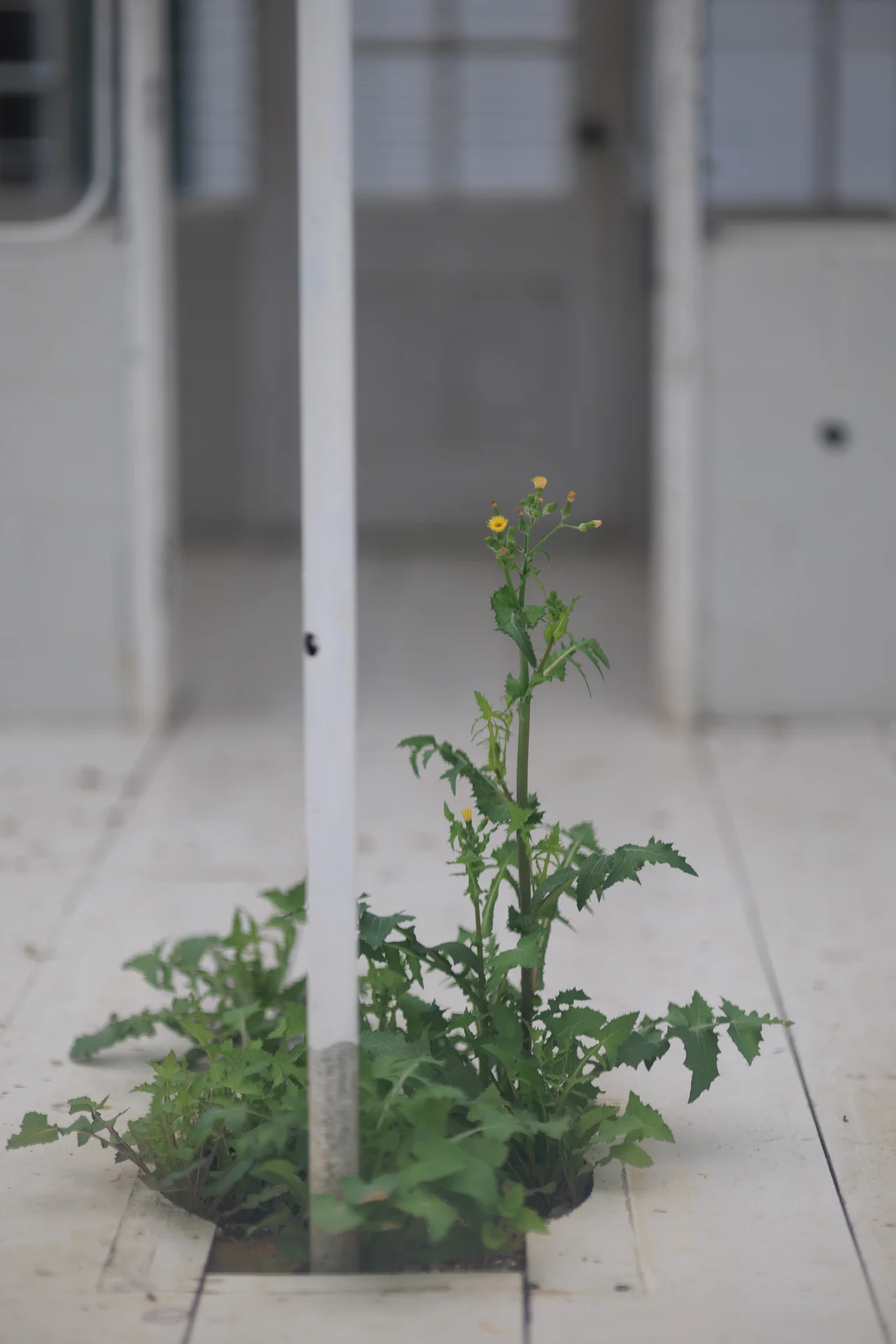 Lauren & Elphin wedding - photo 50 of 63