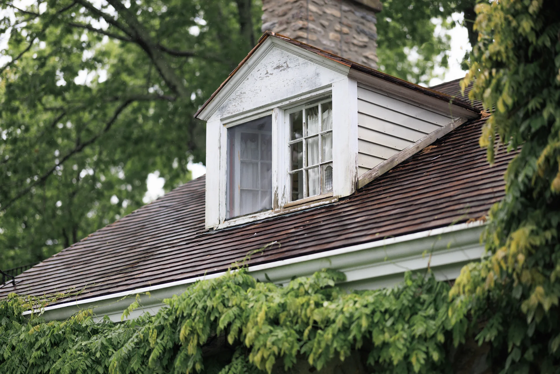 Lauren & Elphin wedding - photo 51 of 63