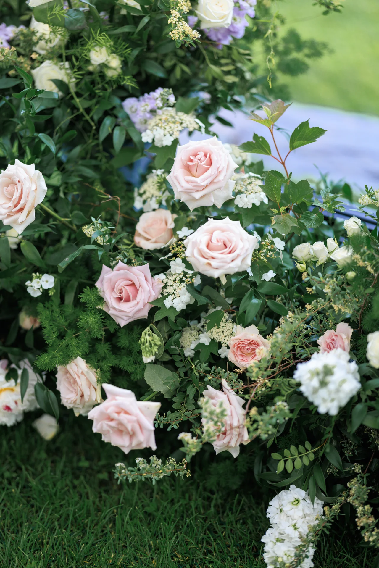 Lauren & Elphin wedding - photo 53 of 63