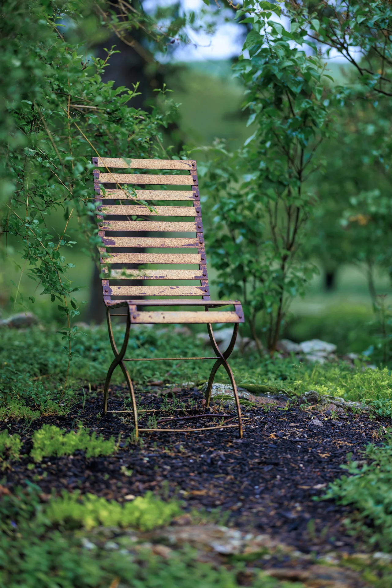 Lauren & Elphin wedding - photo 54 of 63