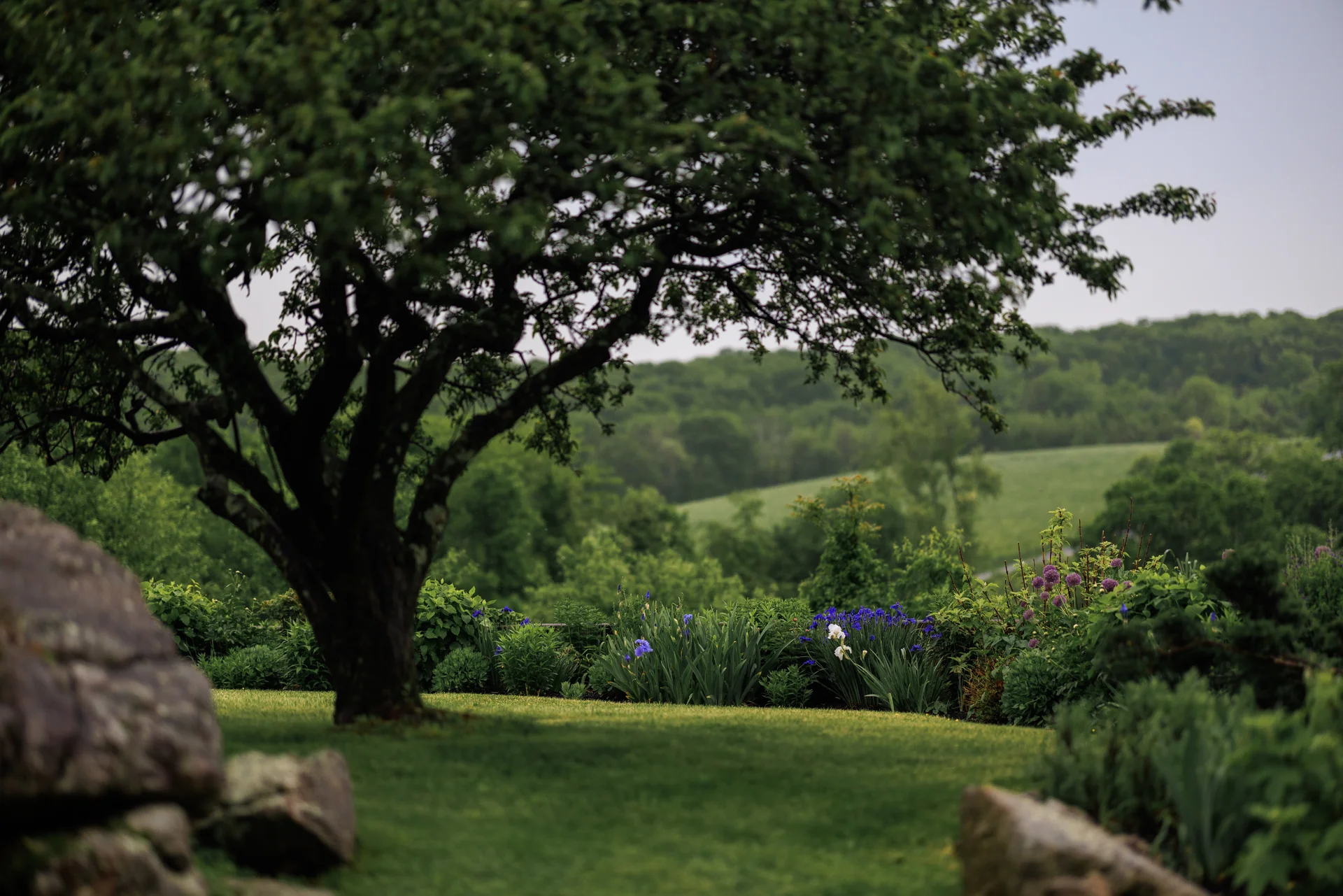 Lauren & Elphin wedding - photo 56 of 63