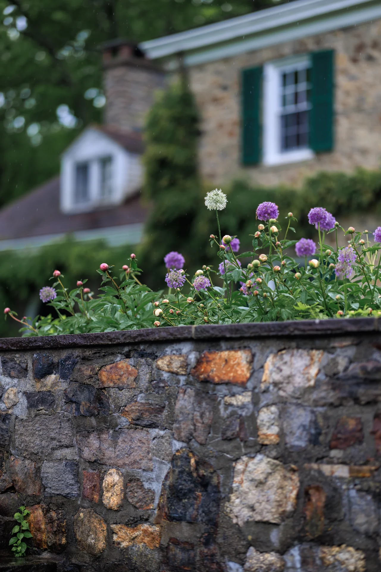 Lauren & Elphin wedding - photo 57 of 63
