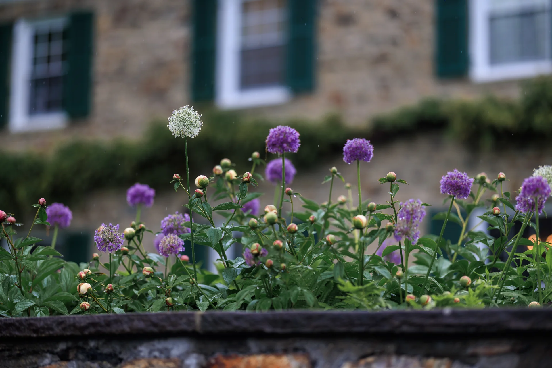 Lauren & Elphin wedding - photo 58 of 63